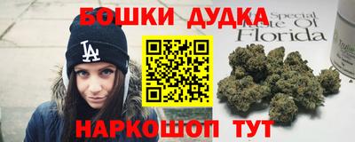 стаф Дубна