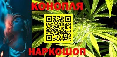 стаф Дубна