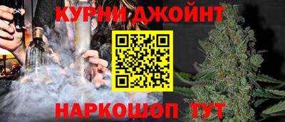 стаф Дубна