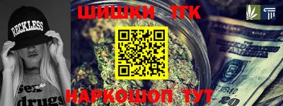 стаф Дубна