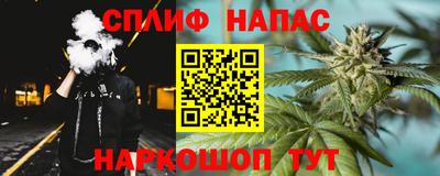 стаф Дубна
