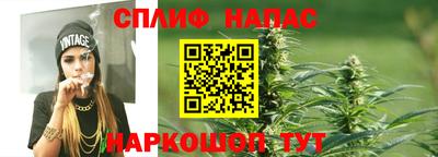 стаф Дубна