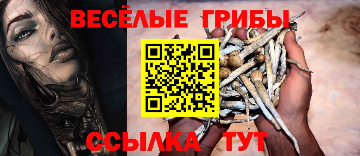 Луга  Псилоцибиновые грибы Magic Shrooms  Вход с VPN 