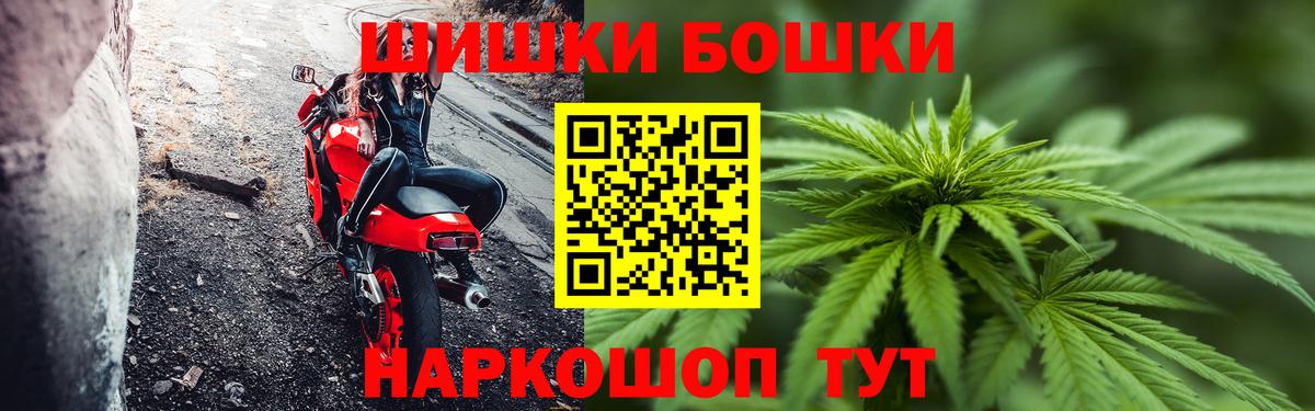 Канабис SATIVA & INDICA Луга